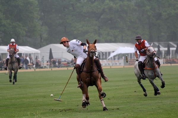 Polo_Art   129.jpg